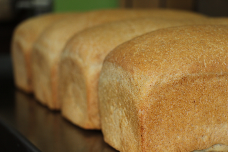 Transylvanian Homemade Bread